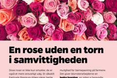 uge-19-2025-page-28