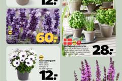 netto-avis-uge-22-images-29