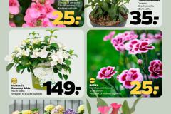 uge-20-2025-page-29