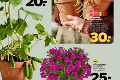 uge-20-2025-page-31